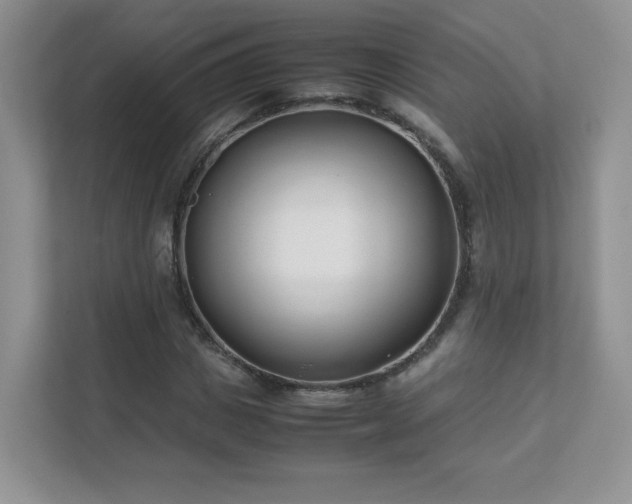 X0000111500825200907211028