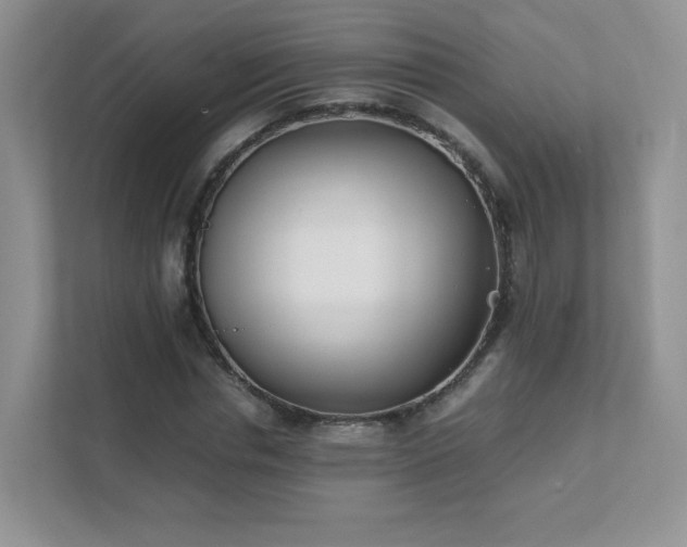 X0000111500826200907211028