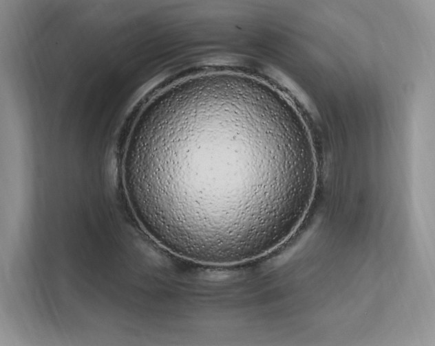 X0000111500829200907211029