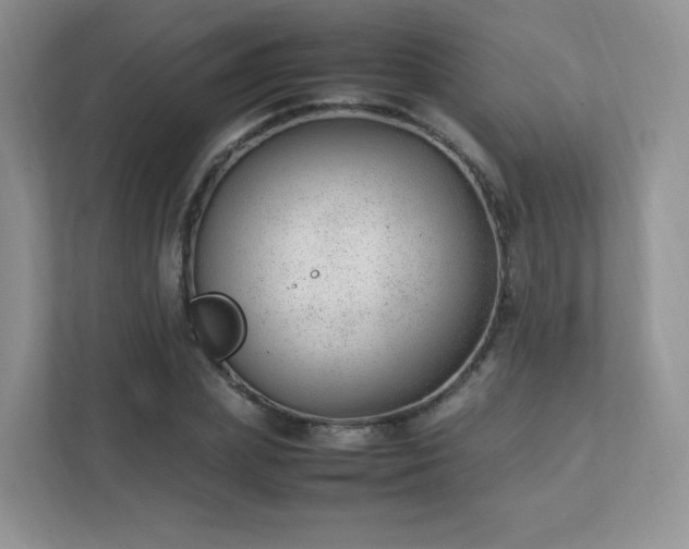 X0000111500831200907211029