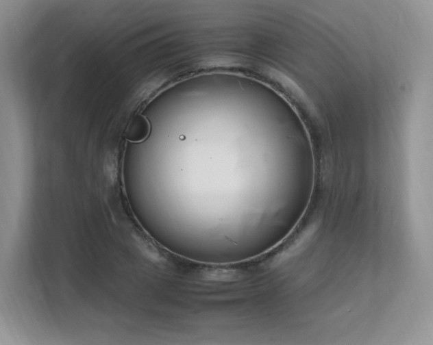 X0000111500833200907211029