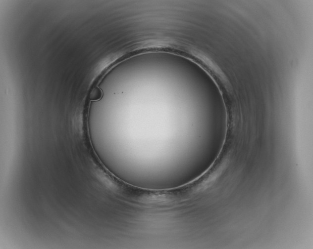 X0000111500834200907211029