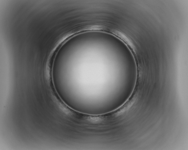 X0000111500835200907211029