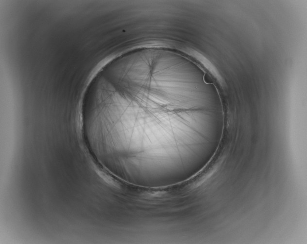 X0000111500837200907211029