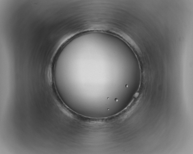 X0000111500838200907211029