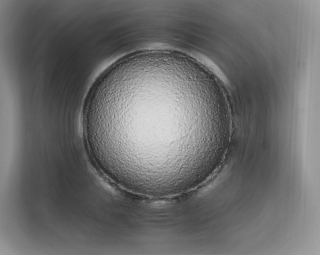 X0000111500839200907211029