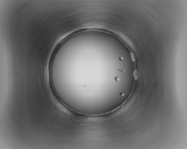 X0000111500840200907211029