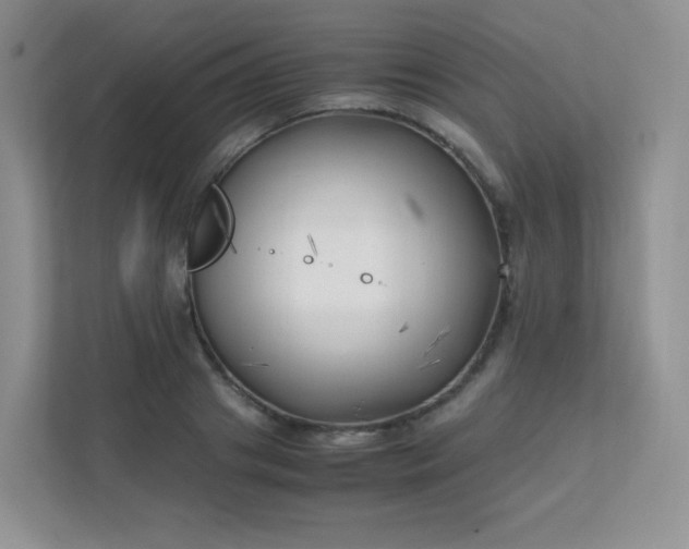 X0000111500841200907211029