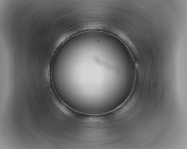 X0000111500842200907211029