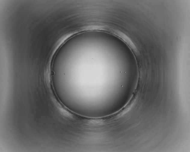 X0000111500844200907211029