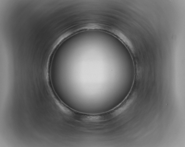 X0000111500845200907211029