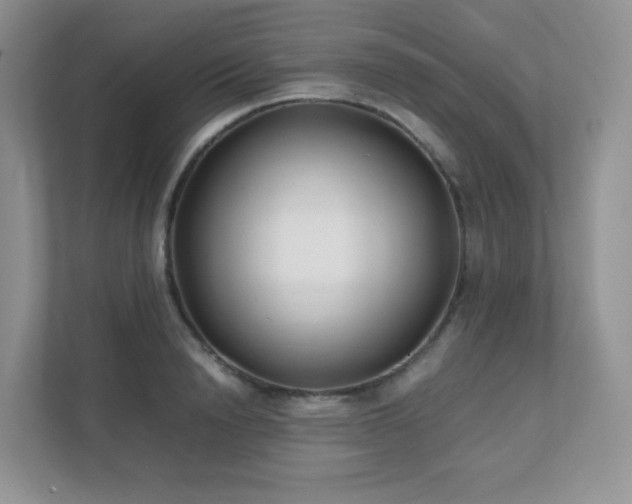 X0000111500846200907211029