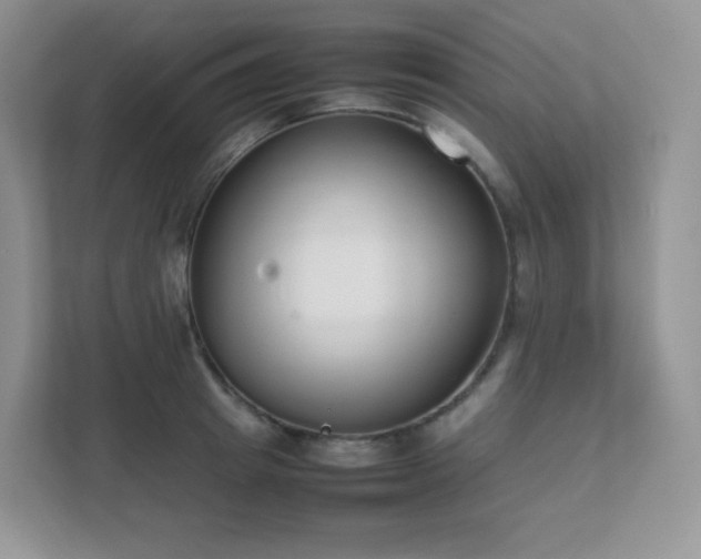 X0000111500849200907211029