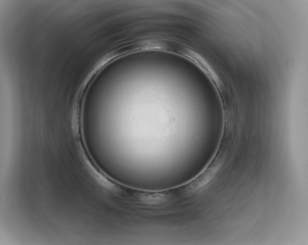 X0000111500851200907211029