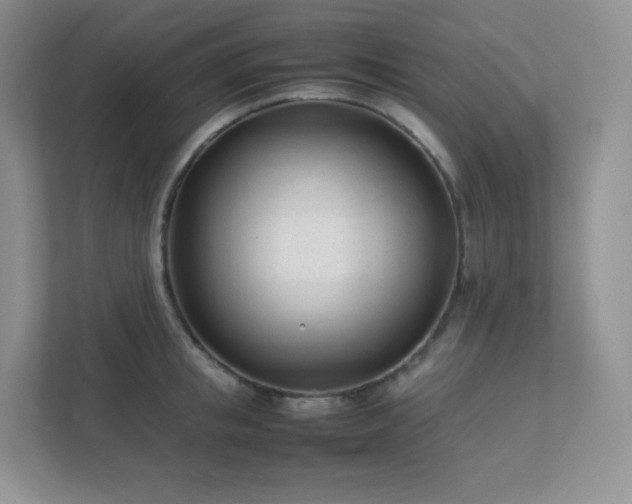 X0000111500853200907211029