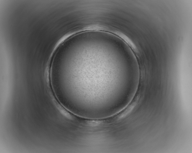 X0000111500854200907211029