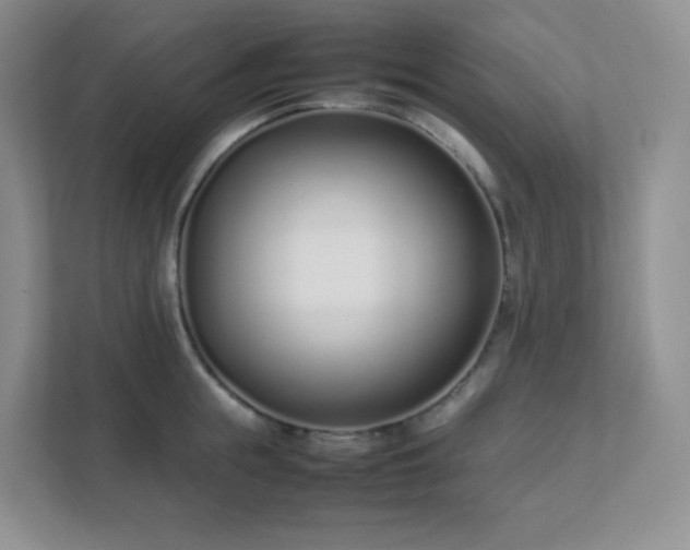 X0000111500855200907211029