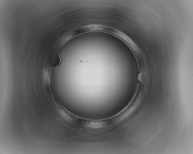 X0000111500857200907211029