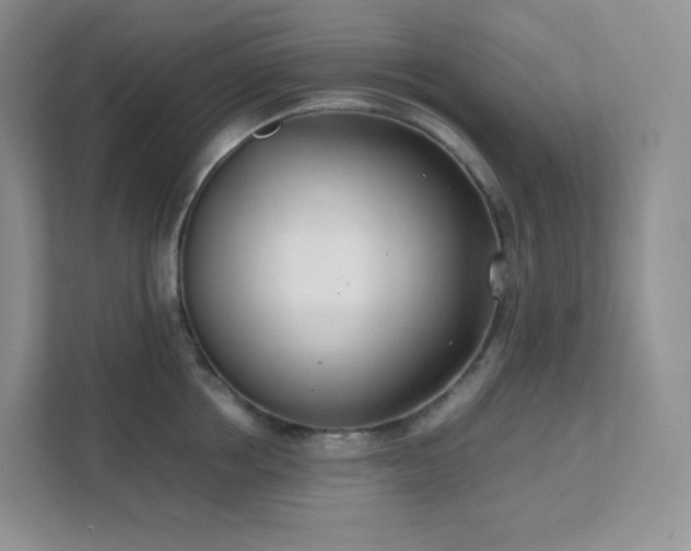 X0000111500858200907211029