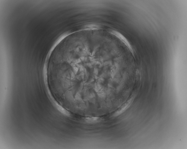 X0000111500859200907211029