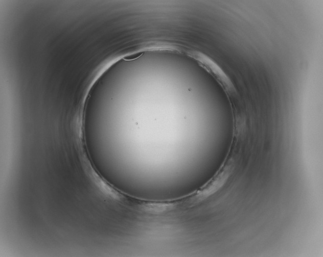 X0000111500860200907211029