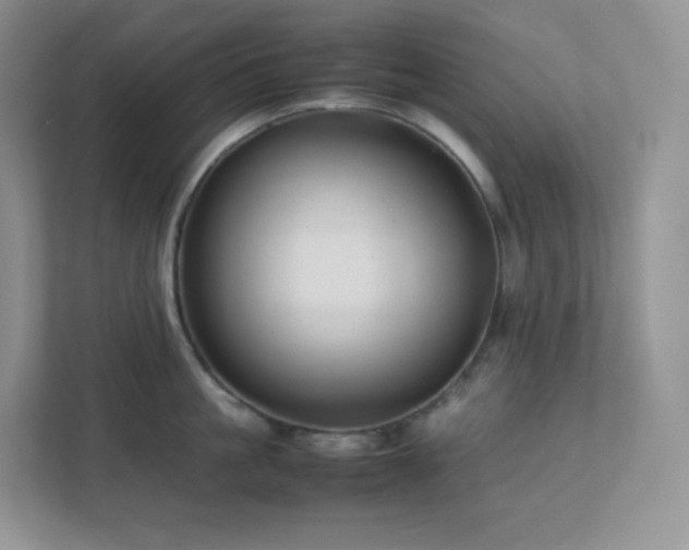 X0000111500861200907211029