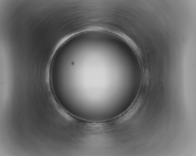 X0000111500862200907211029