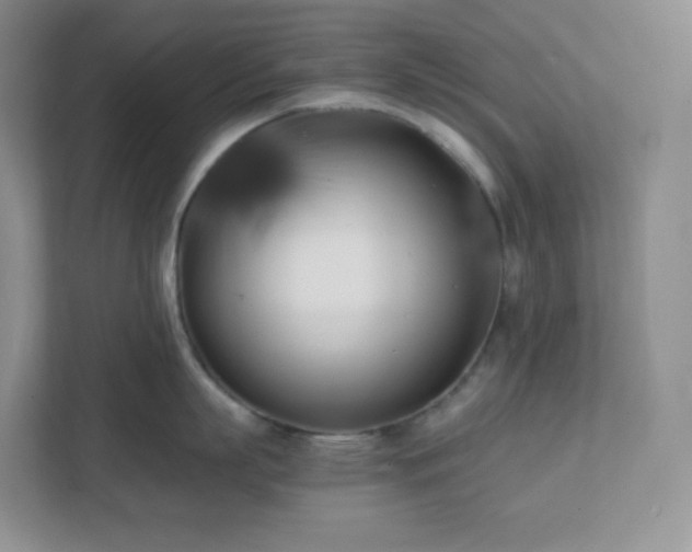 X0000111500863200907211029