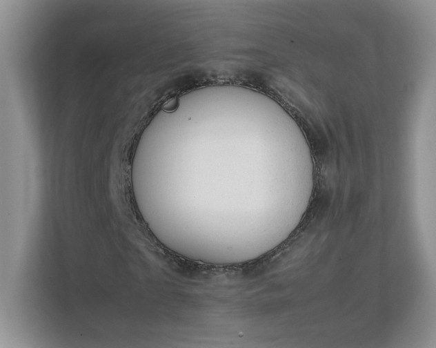 X0000111500865200907211028