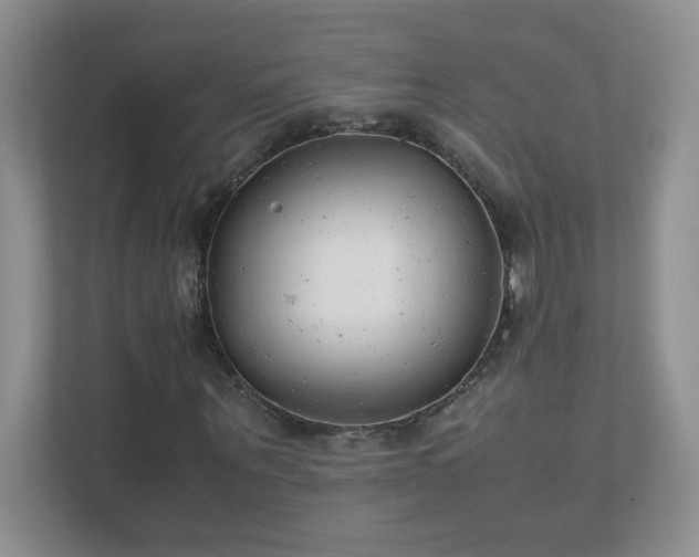 X0000111500867200907211028