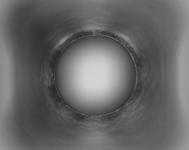 X0000111500871200907211028