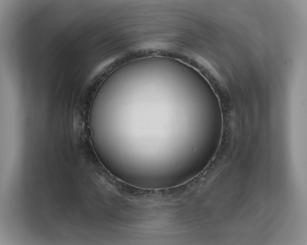 X0000111500872200907211028