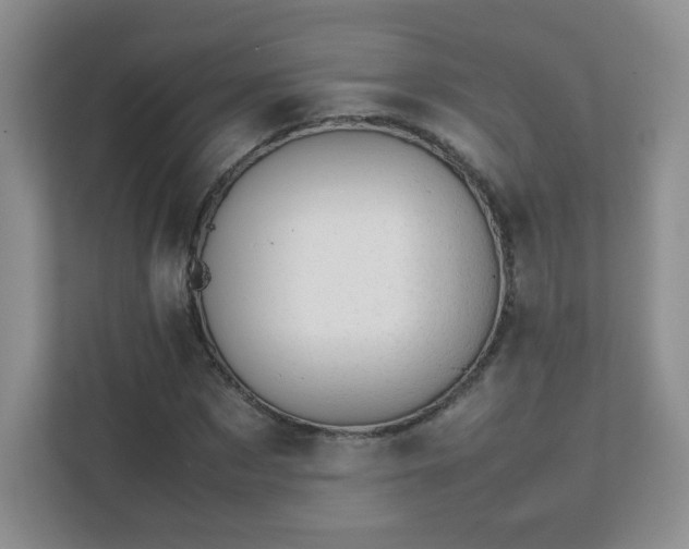 X0000111500873200907211028