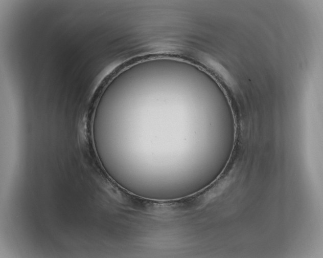 X0000111500875200907211028