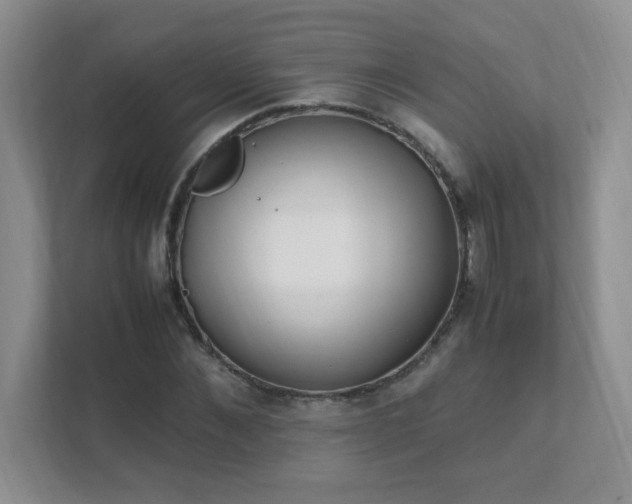 X0000111500876200907211028