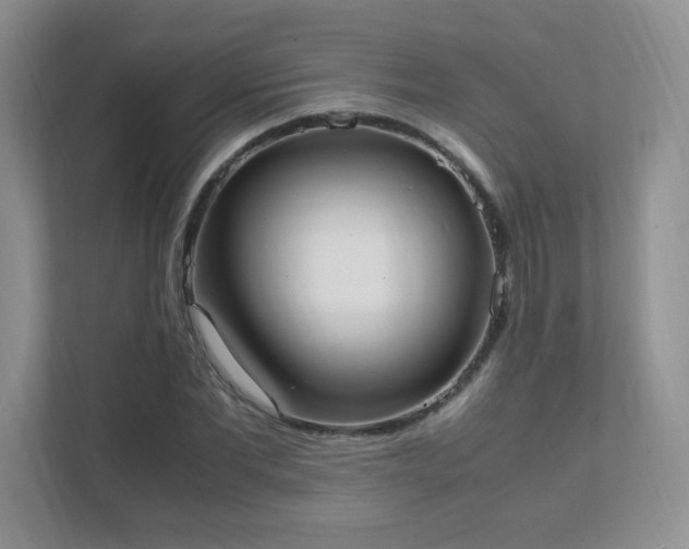 X0000111500877200907211028