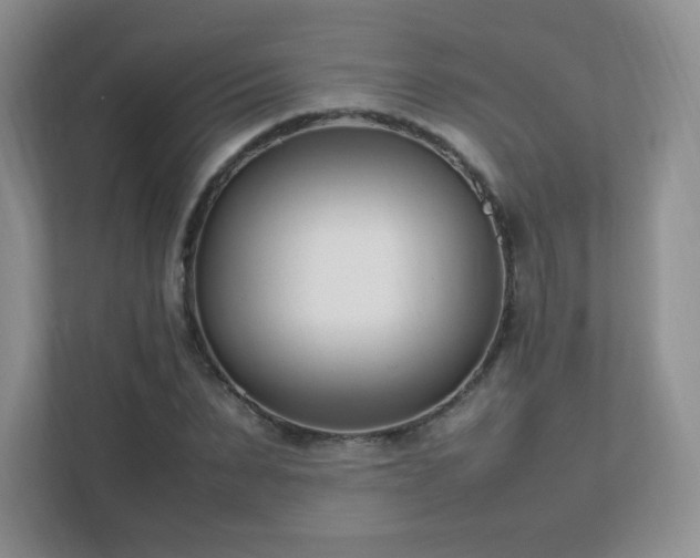 X0000111500879200907211028