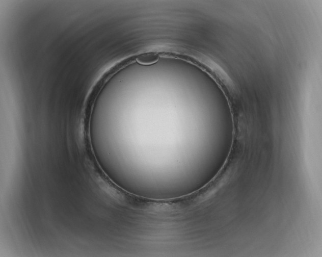 X0000111500880200907211028