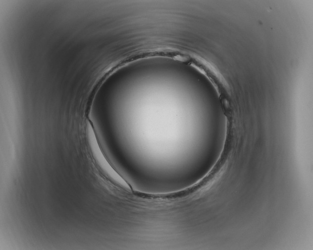 X0000111500881200907211028