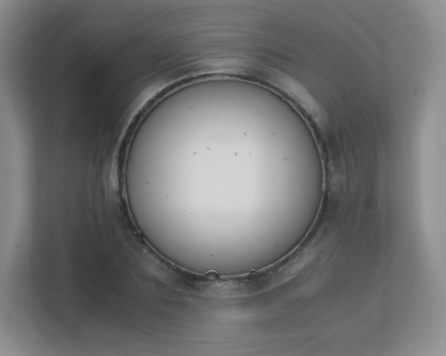 X0000111500883200907211028