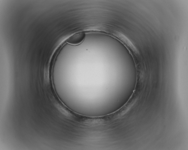 X0000111500884200907211028