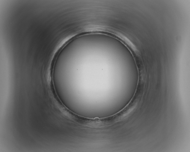 X0000111500885200907211028