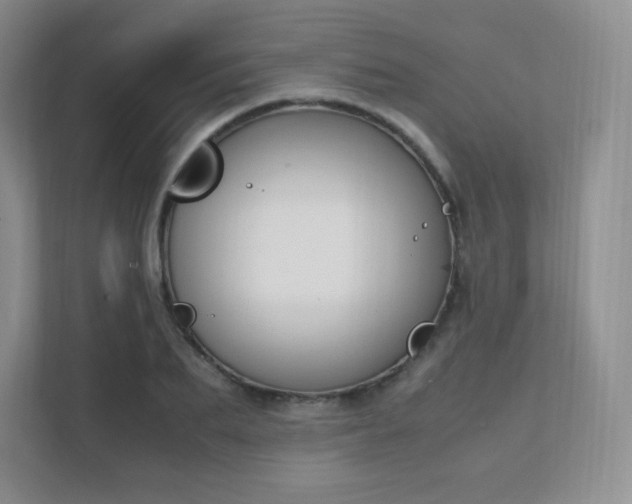 X0000111500887200907211028