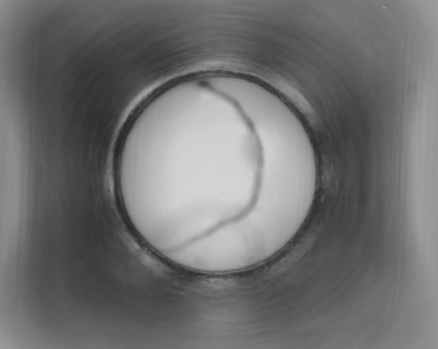 X0000111500888200907211028