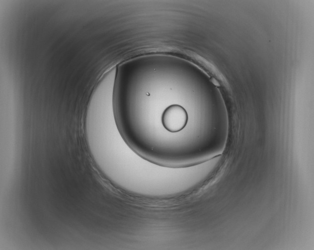 X0000111500889200907211028