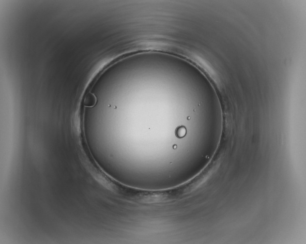 X0000111500891200907211028