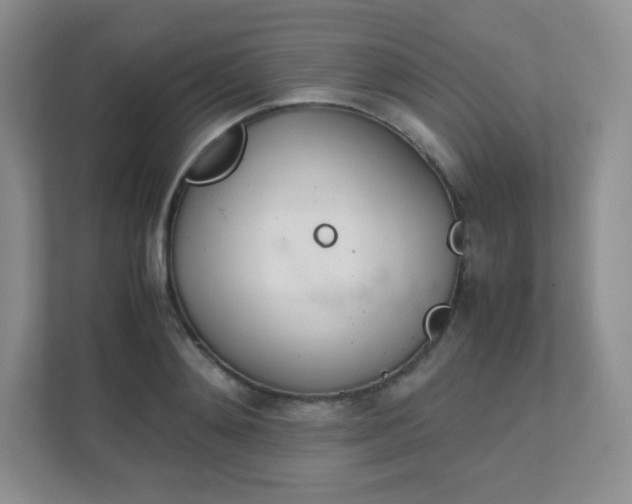 X0000111500892200907211028