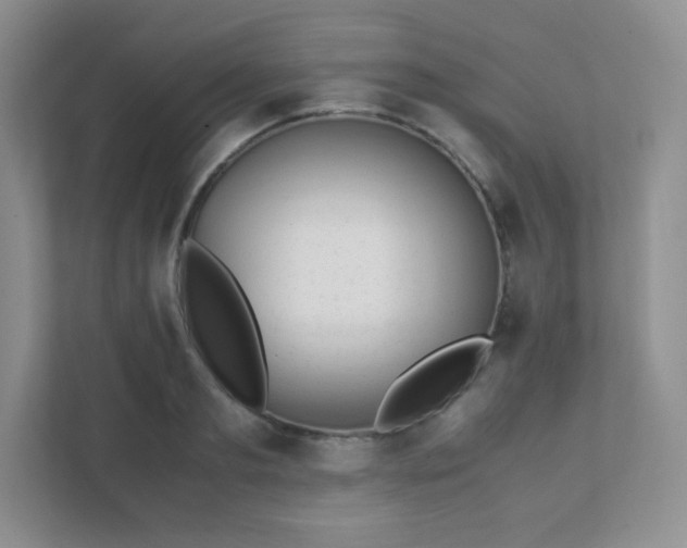 X0000111500893200907211028