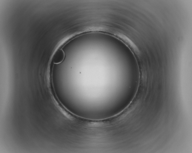 X0000111500894200907211028