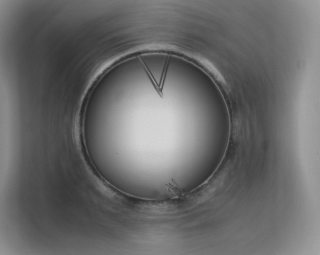 X0000111500895200907211028